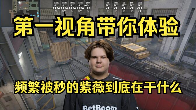 pp查看伤